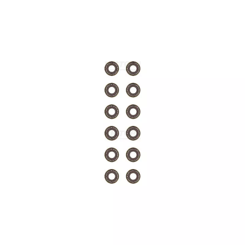 Jeu de joints d'étanchéité, tige de soupape VICTOR REINZ 12-36154-01