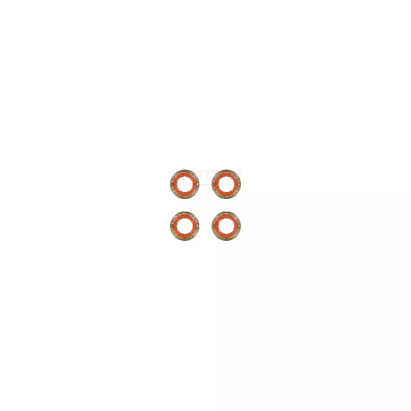 Jeu de joints d'étanchéité, tige de soupape VICTOR REINZ 12-36004-02