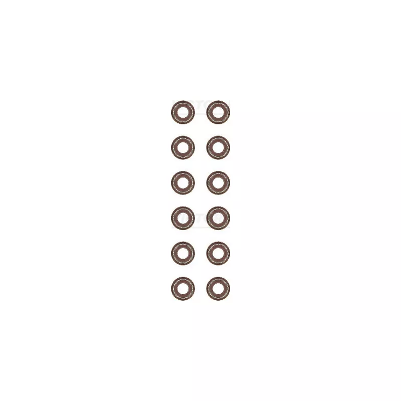 Jeu de joints d'étanchéité, tige de soupape VICTOR REINZ 12-37802-01