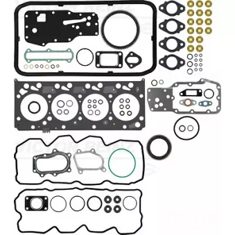 Pochette moteur complète VICTOR REINZ