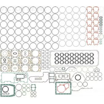 Pochette moteur complète VICTOR REINZ