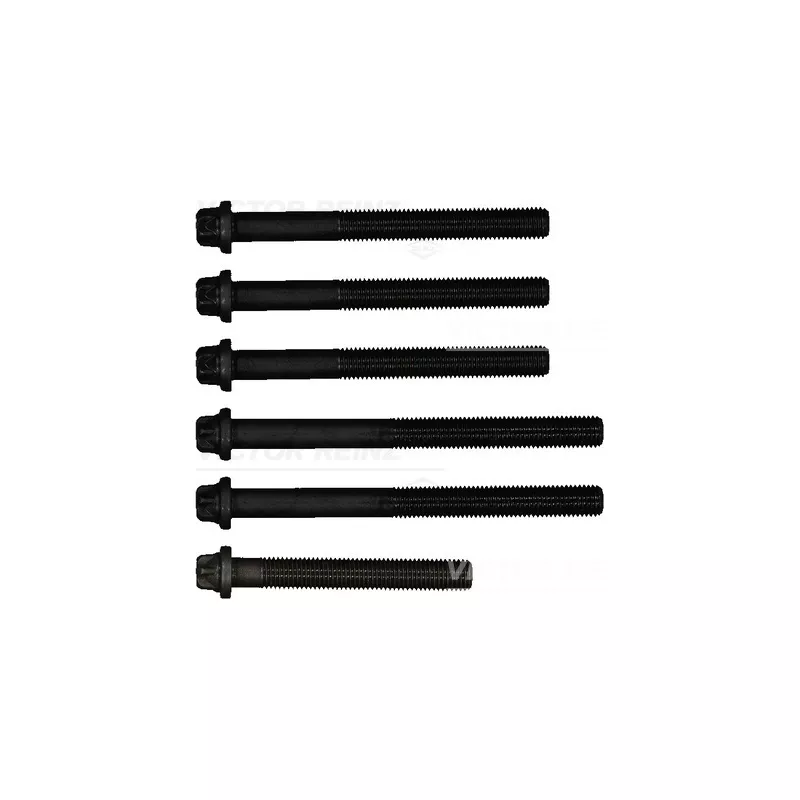 Jeu de boulons de culasse de cylindre VICTOR REINZ 14-32064-02