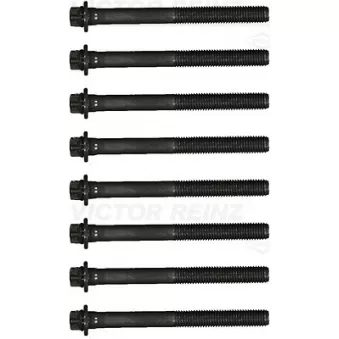 Jeu de boulons de culasse de cylindre VICTOR REINZ