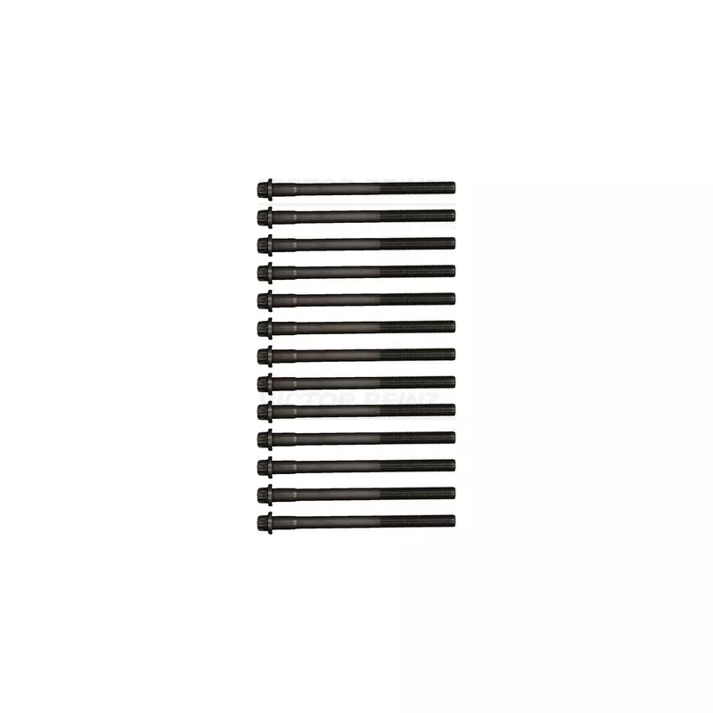 Jeu de boulons de culasse de cylindre VICTOR REINZ 14-32300-01