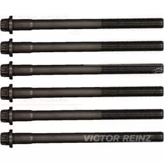 Jeu de boulons de culasse de cylindre VICTOR REINZ