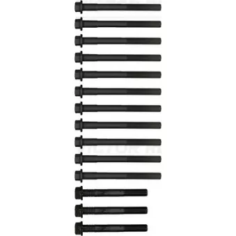 Jeu de boulons de culasse de cylindre VICTOR REINZ
