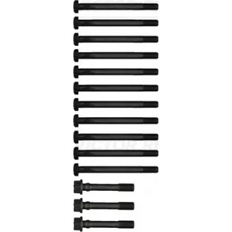 Jeu de boulons de culasse de cylindre VICTOR REINZ