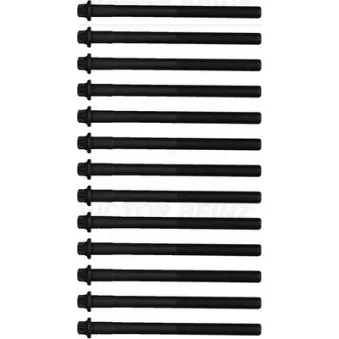 Jeu de boulons de culasse de cylindre VICTOR REINZ