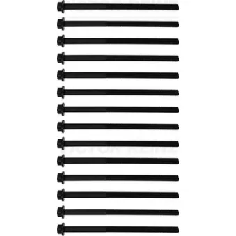 Jeu de boulons de culasse de cylindre VICTOR REINZ