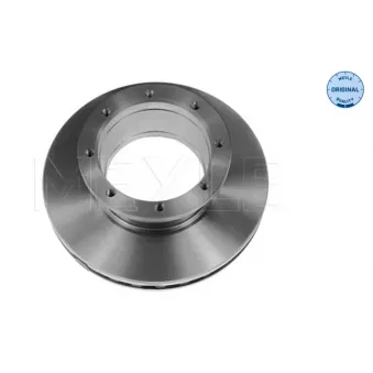 Jeu de 2 disques de frein arrière MEYLE 015 523 2083