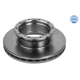 Jeu de 2 disques de frein arrière MEYLE