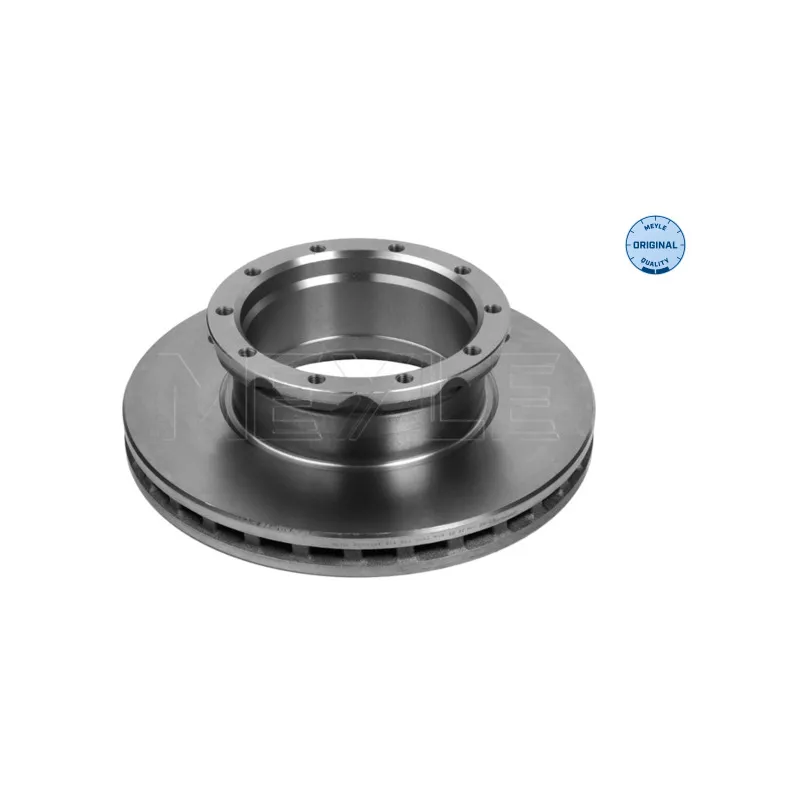 Jeu de 2 disques de frein arrière MEYLE 015 521 2043