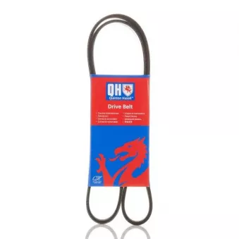 Courroie trapézoïdale à nervures QUINTON HAZELL