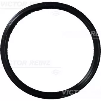 Joint d'étanchéité, collecteur d'admission VICTOR REINZ