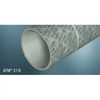 Étanchéification solide VICTOR REINZ