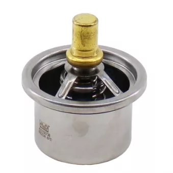 Thermostat, liquide de refroidissement MEAT & DORIA