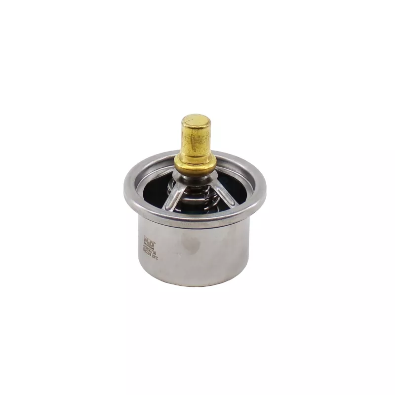 Thermostat, liquide de refroidissement MEAT & DORIA 921027