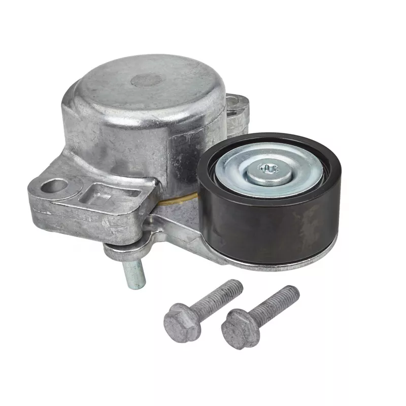 Tendeur de courroie, courroie trapézoïdale à nervures MEYLE 034 903 0014