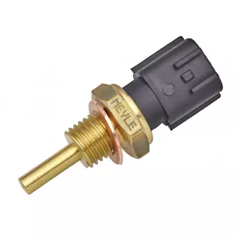 Sonde de température, liquide de refroidissement MEYLE 16-14 821 0006
