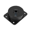 Support moteur DT 2.10485 - Visuel 1