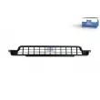 Grille de radiateur DT 2.71305 - Visuel 1
