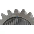 Roue dentée, arbre d'entraînement, DT 3.60203 - Visuel 2