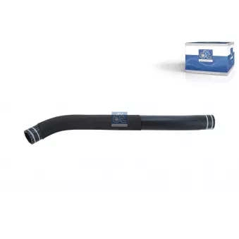 Durite de radiateur DT 13.00056