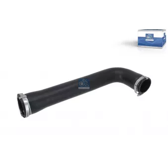 Durite de radiateur DT 13.00067