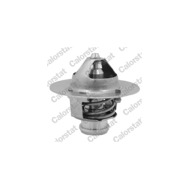 Thermostat, liquide de refroidissement CALORSTAT BY VERNET TH7130.89J