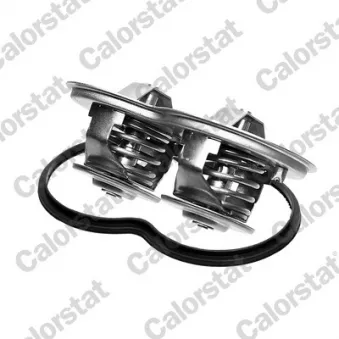 Thermostat, liquide de refroidissement CALORSTAT BY VERNET