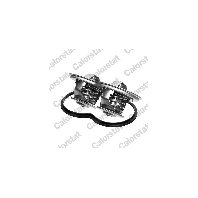 Thermostat, liquide de refroidissement CALORSTAT BY VERNET TH7290.80.87J