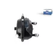 Cylindre de frein à diaphragme DT 5.70305SP - Visuel 1
