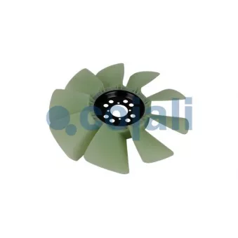 Roue du souffleur, refroidissement du moteur COJALI 8822605
