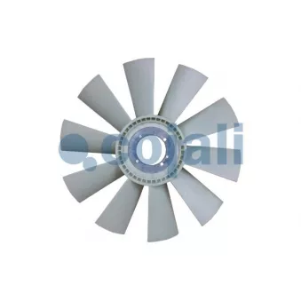 Roue du souffleur, refroidissement du moteur COJALI 8521688