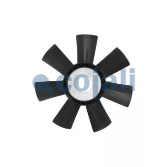 Roue du souffleur, refroidissement du moteur COJALI 8521638