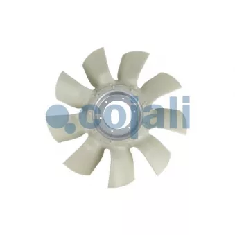 Roue du souffleur, refroidissement du moteur COJALI 8521623