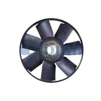 Roue du souffleur, refroidissement du moteur COJALI 8521602