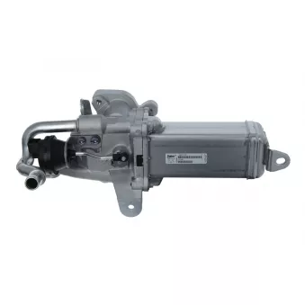 Module-EGR VALEO 700486