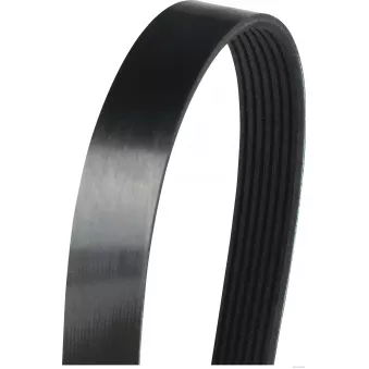 Courroie trapézoïdale à nervures HERTH+BUSS JAKOPARTS