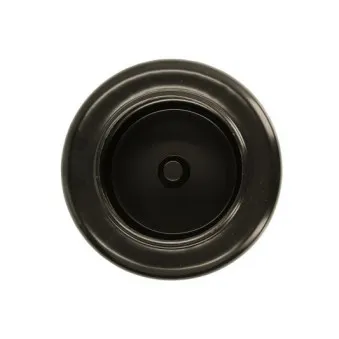 Diaphragme, soufflet à air MAGNUM TECHNOLOGY 5002-02-0021P