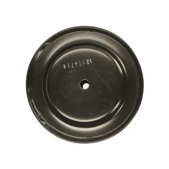 Diaphragme, soufflet à air MAGNUM TECHNOLOGY 5002-02-0031P