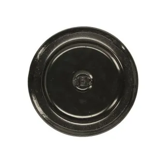 Diaphragme, soufflet à air MAGNUM TECHNOLOGY 5002-02-0038P