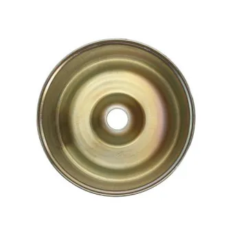 Diaphragme, soufflet à air MAGNUM TECHNOLOGY 5002-02-0008P