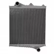 Intercooler, échangeur NISSENS 96961 - Visuel 1