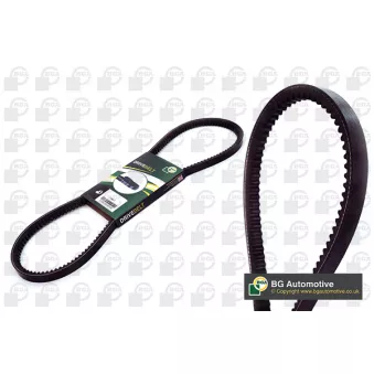 Courroie trapézoïdale BGA V13X1300