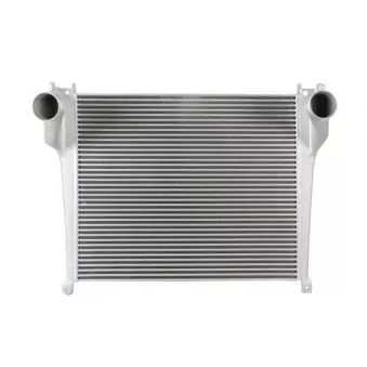 Intercooler, échangeur THERMOTEC DAME012TT