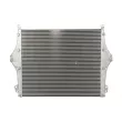 Intercooler, échangeur THERMOTEC DASC012TT - Visuel 2