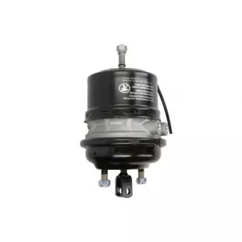 Cylindre de prétension SBP