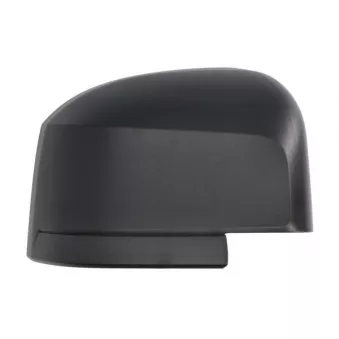 Revêtement, rétroviseur extérieur BLIC 6103-01-1999311P