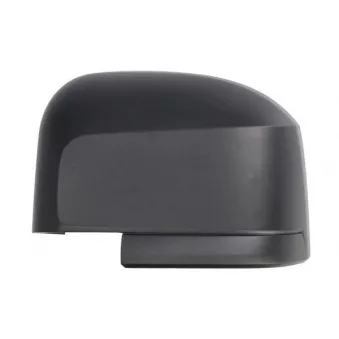 Revêtement, rétroviseur extérieur BLIC 6103-01-1999310P